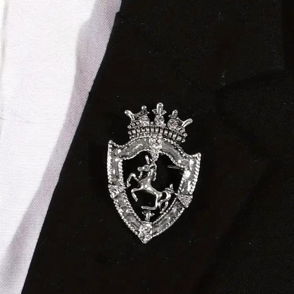 REGAL SHIELD BROOCH in Silver - Picture 1 of 2